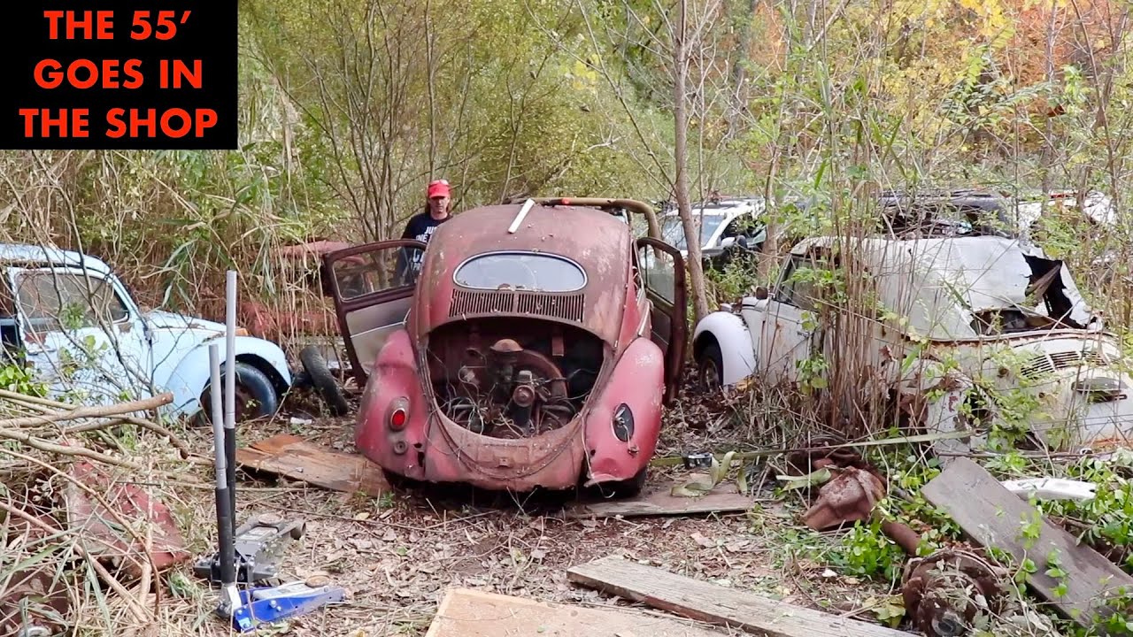 Rare 1955 Oval VW Beetle RESCUE - JunkYard Project Evaluation