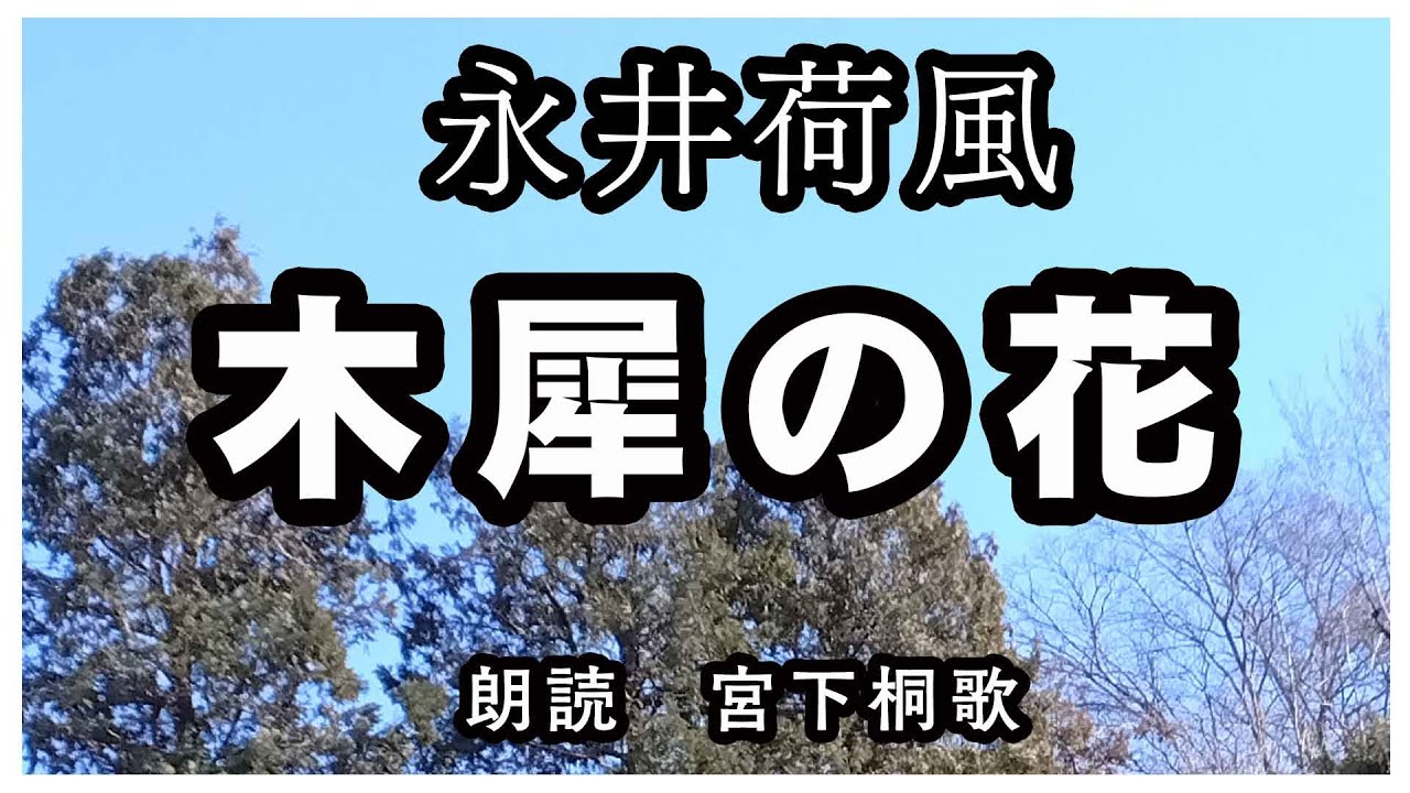 永井荷風「木犀の花」木犀の香りをきっかけに、過去の記憶、特に中学校時代を回想する随筆です　宮下桐歌の朗読です　ちょっと一休み、心の休息に癒やしの父音朗読を