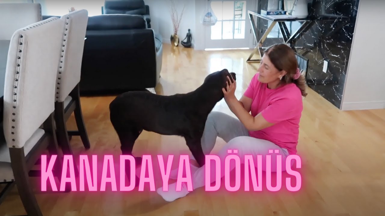 Ayrılık Bitti | Bir Ay Sonra Köpegimize Kavustuk |  Tepkisi Cok Cilginca Oldu