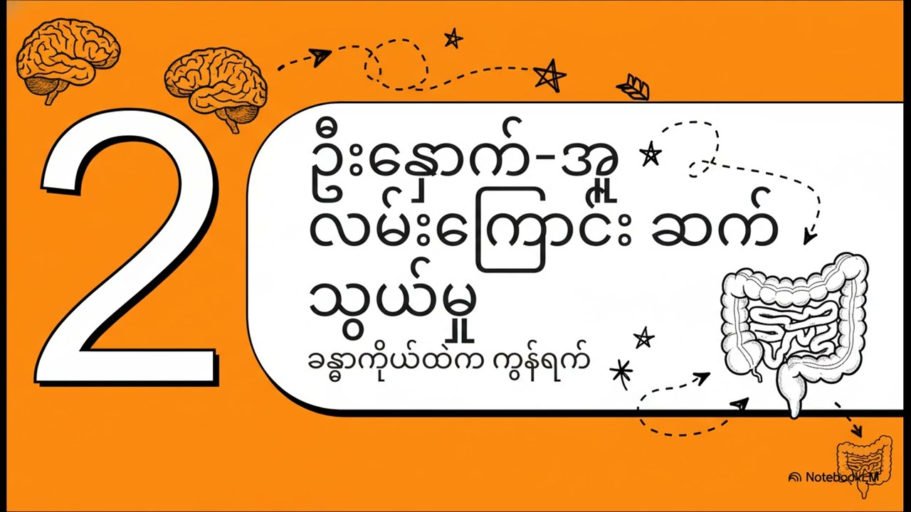 အစာအိမ်အူလမ်းကြောင်းနှင့် ဦးနှောက် ဆက်စပ်ပုံ