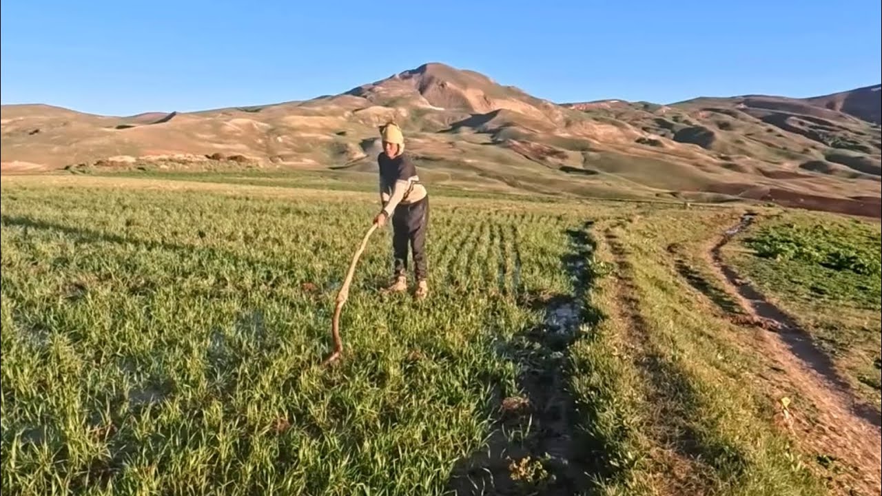 Middle Eastern countryside