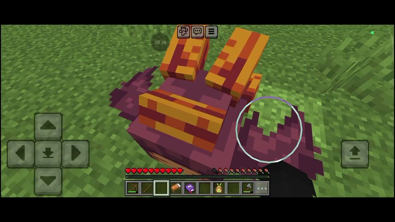 9 de fevereiro de 2026