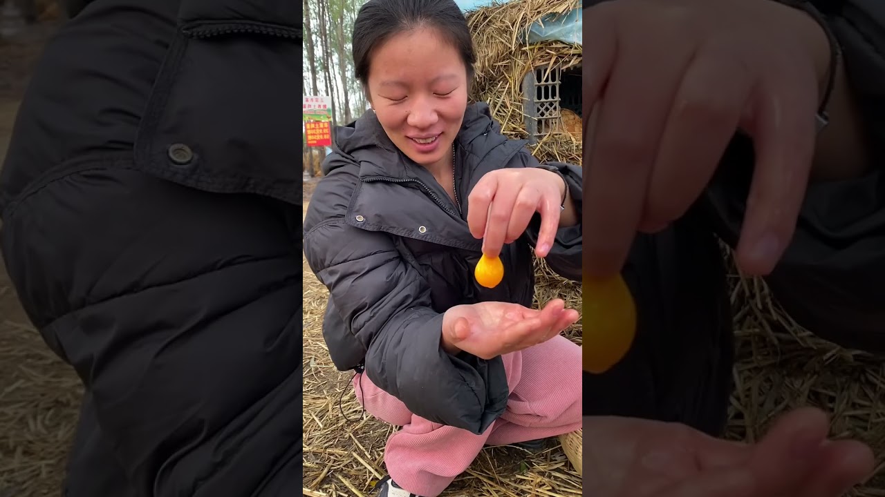 🐔散养“土鸡”“土鸡蛋”自然健康 ❤️纯纯的味道，五谷杂粮喂养 ❤️让您吃的美味，吃的放心     坚持原生态，坚持林下散养      坚持五谷杂粮喂养保证品质  #农家土鸡蛋 #散养土鸡蛋 ##