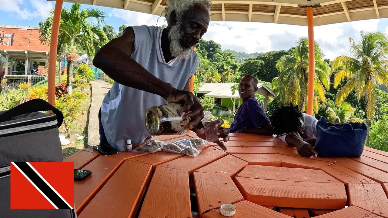 Shocking Truths About Tobago's Slavery History and the Hidden Beauty of Argyle Falls 🇹🇹