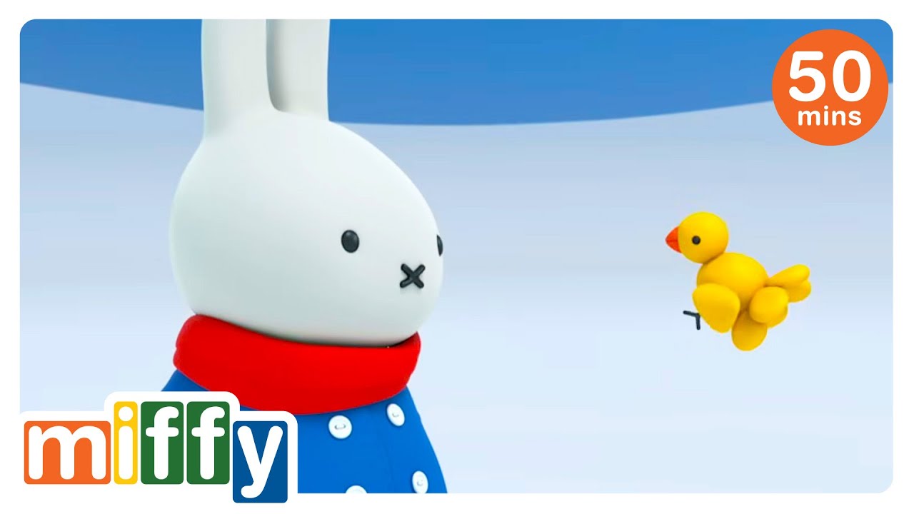 Miffy speaks with the bird | Miffy | Cartoons for kids