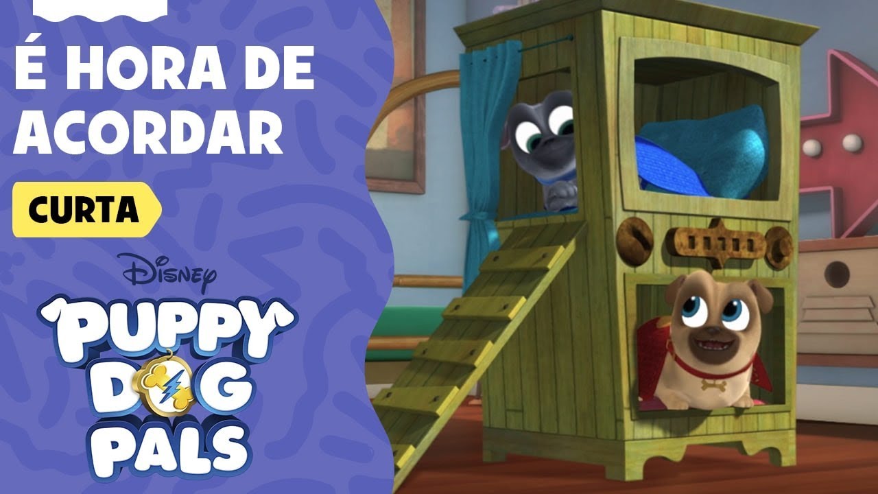 É hora de acordar | Brincando com Bingo e Rolly | Puppy Dog Pals