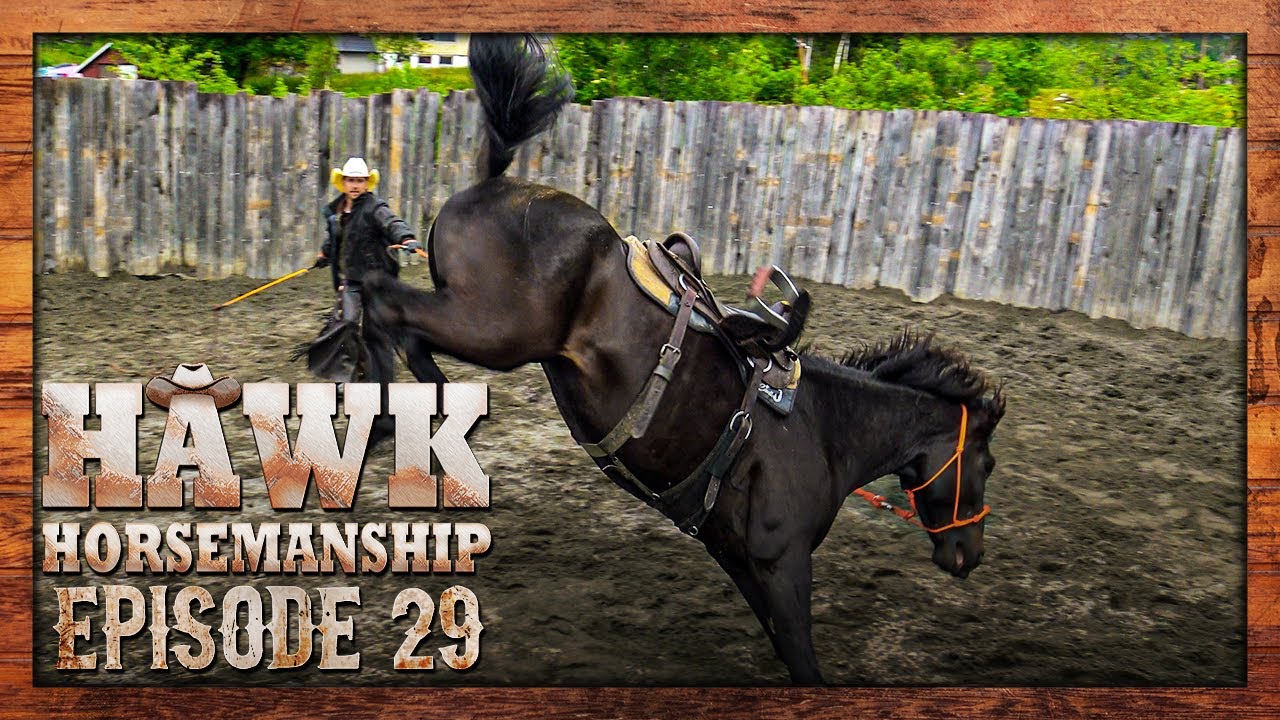 Kan vi ri inn en farlig hest? | Episode 29 (Norsk Hestetrening)