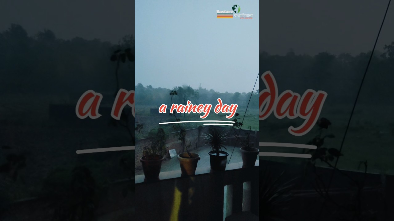 এক বৃষ্টি ভেজা বিকেল | #shortsfeed #rainfall #rainsong #lovely #explore #bastar #bastardarshan
