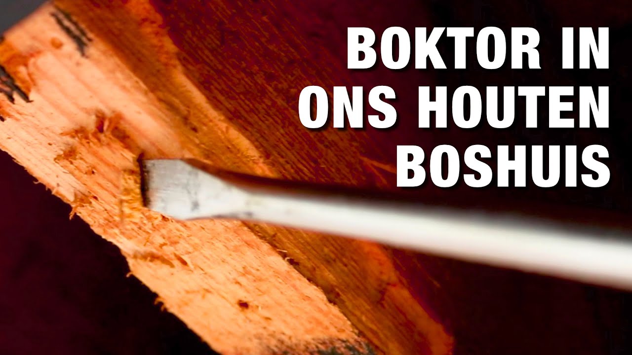 Boktor en houtworm bestrijden