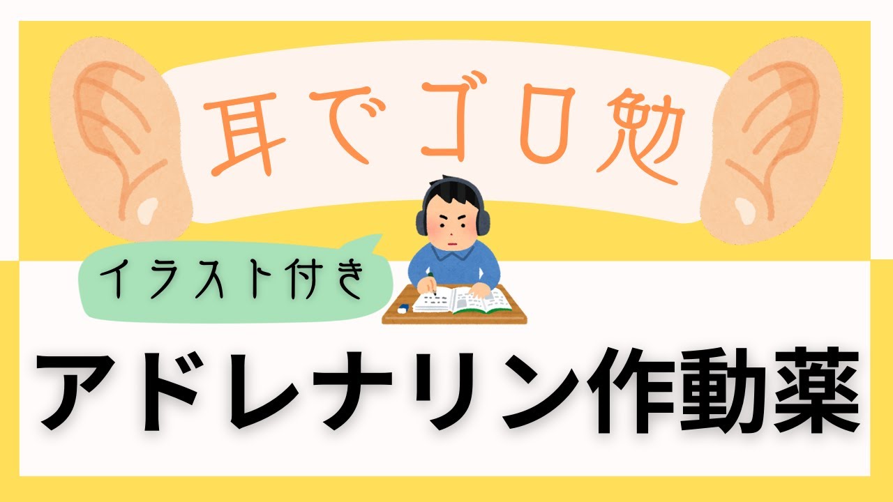 【医療学生必見】アドレナリン作動薬はゴロでサクッと覚えましょう！