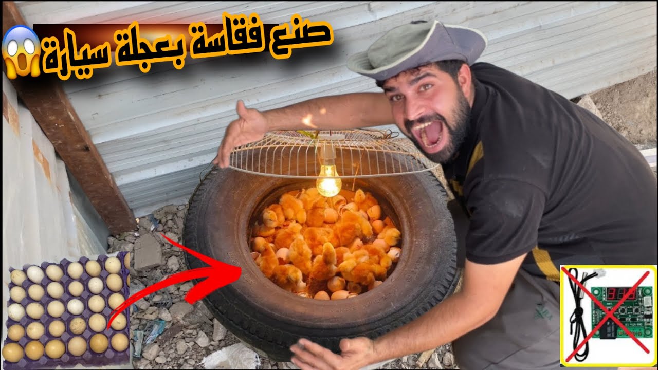 صنعت فقاسة من تاير سياره👌