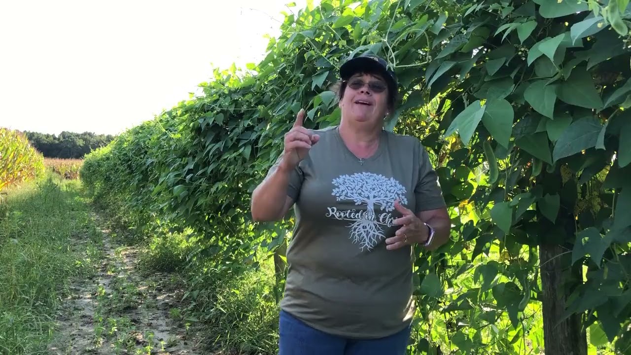 The Growing Season
