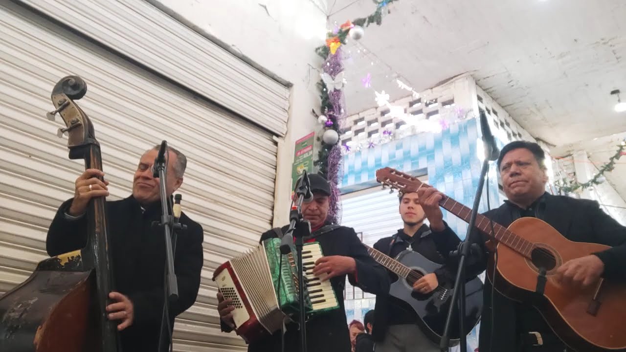 OJITOS PROVINCIANOS - Voces de mi Tierra MX