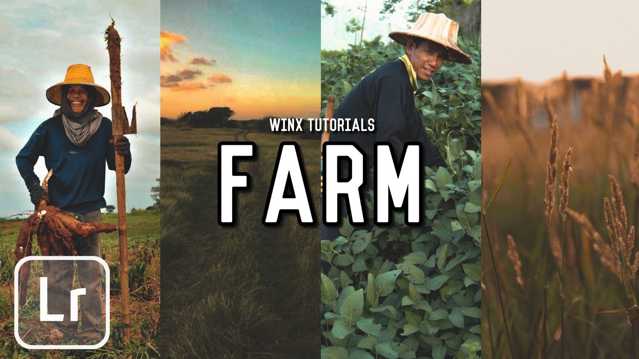 FARM|FREE DNG|NEW lightroom preset 2020 | easy tutorial