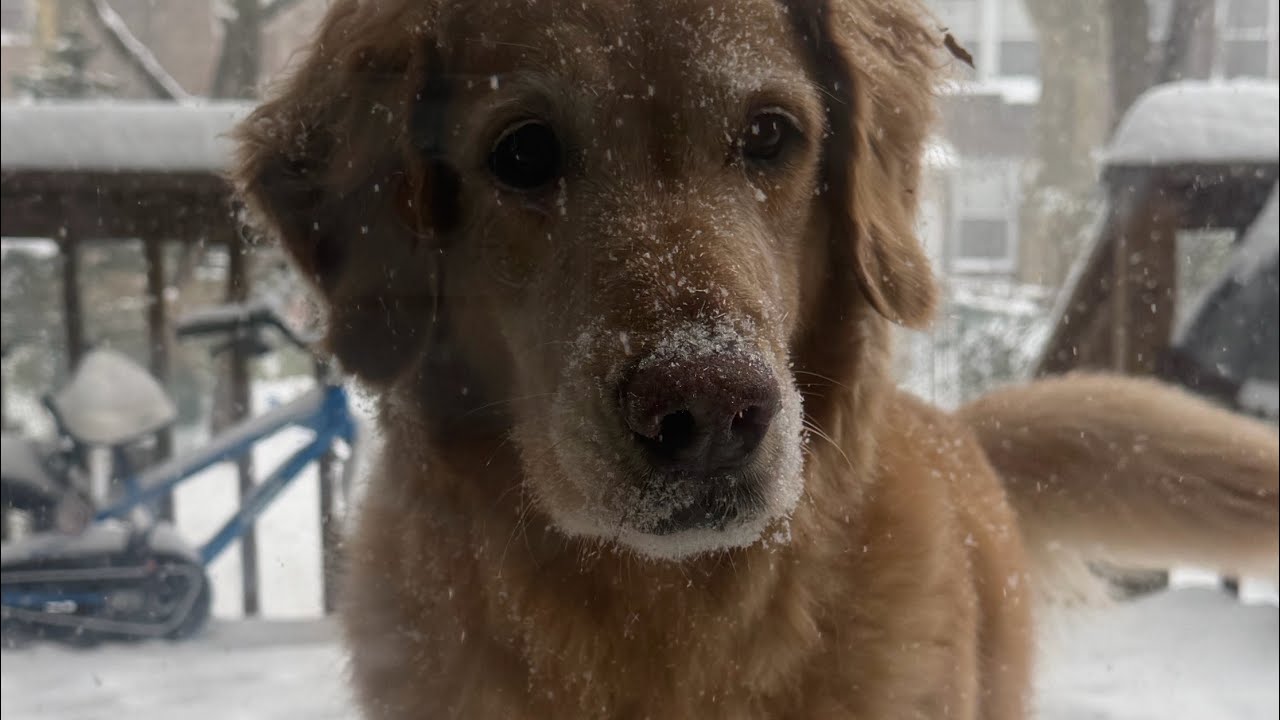 Snow Day No Makeup Makeup