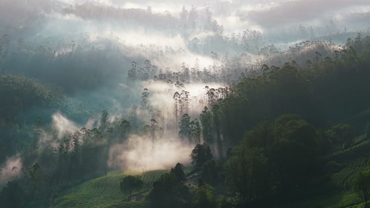 Munnar Letchmi Hills Trek |  Scenic Trails, Misty Hills & Nature Walk |  blanket Munnar