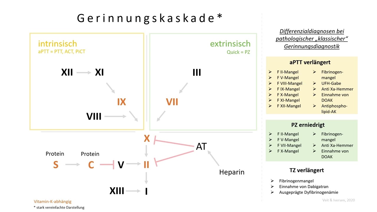 Einführung Teil2