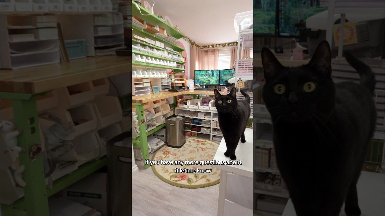 A Tour of My Order Packing Station #tour #roomtour #homestudio #homeoffice #workfromhome