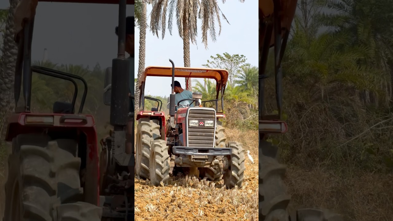 Massy Ferguson 254 Dynatrac 4WD performance with Rotavator #masseyferguson #tractor
