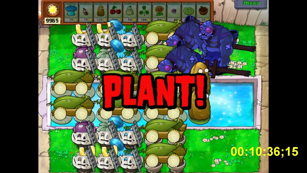 Đội hình 900 flags + ăn mừng đỗ đại học