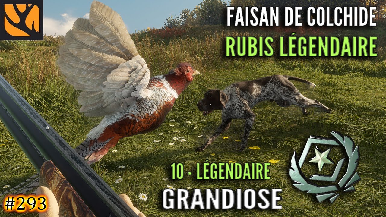 THE HUNTER CALL OF THE WILD #293 UNE CHASSE AU FAISAN GREAT ONE SUR LA MAP SALZWIESEN PARK 2025