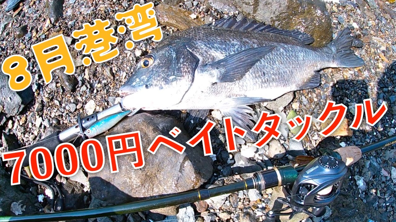 AliExpressで釣具（ベイトタックル）を揃えてチヌ（黒鯛）釣り行ってきた【SOLOKING FLYPLUM R2】【CEMREO MACAN KMLC 805M】