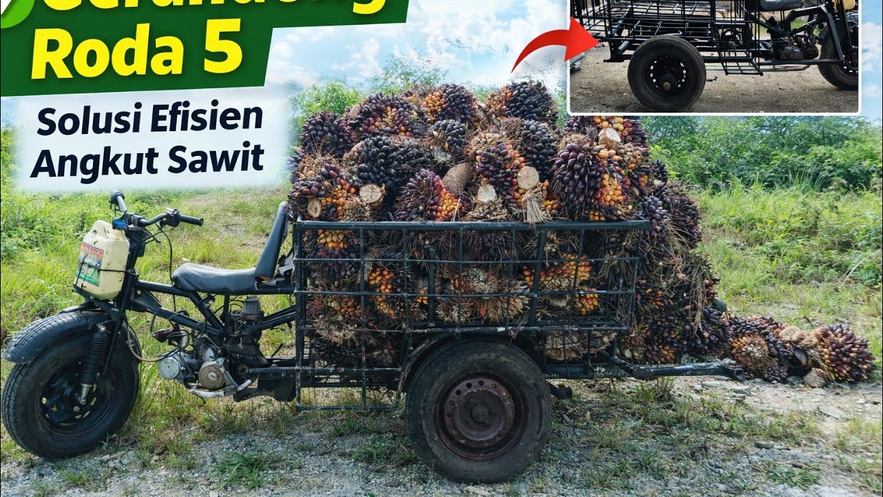 ✅ GERANDONG RODA 5 INI GILA! 😱 Angkut Sawit Full Muatan Tanpa Tumbang!