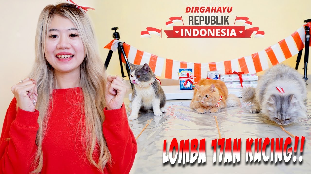 LOMBA 17 AGUSTUS BUAT PAM PAM, BOO DAN CIKU KUCING!! GAK NYANGKA GINI REAKSINYA!!