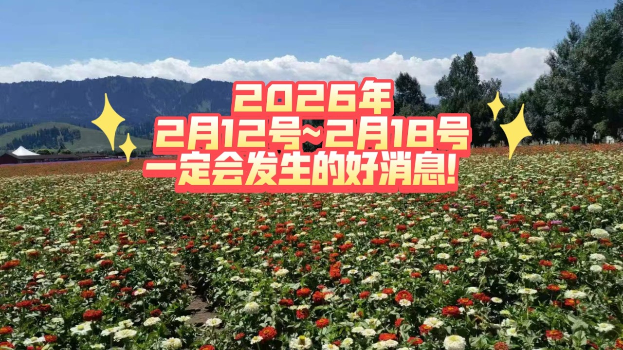 2026年2月12号~2月18号一定会发生的好消息！（不限时空  不限关系）