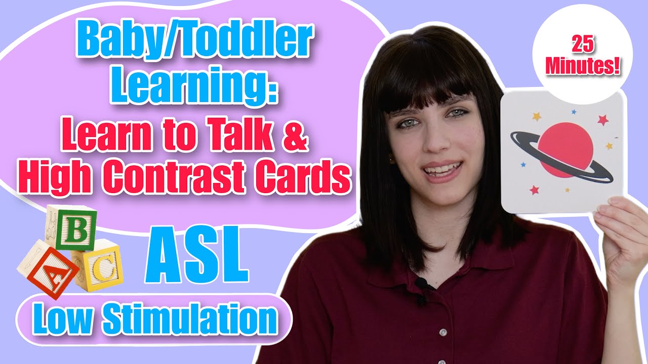 Baby & Toddler High Contrast Cards, Learn to Talk, Sign Language, ABCs, Phonics & more! | Low Stim