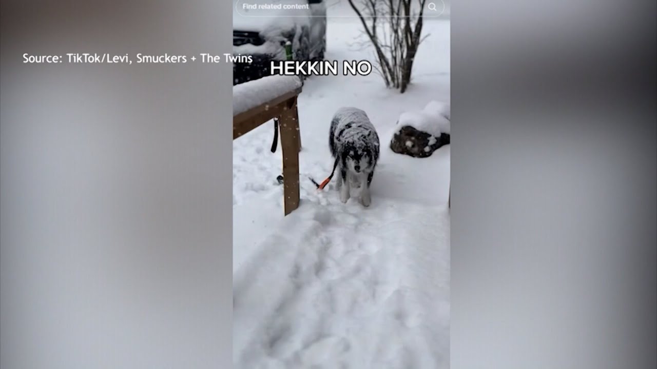 Friday Funnies is Back and We're Sharing More Humorous Videos
