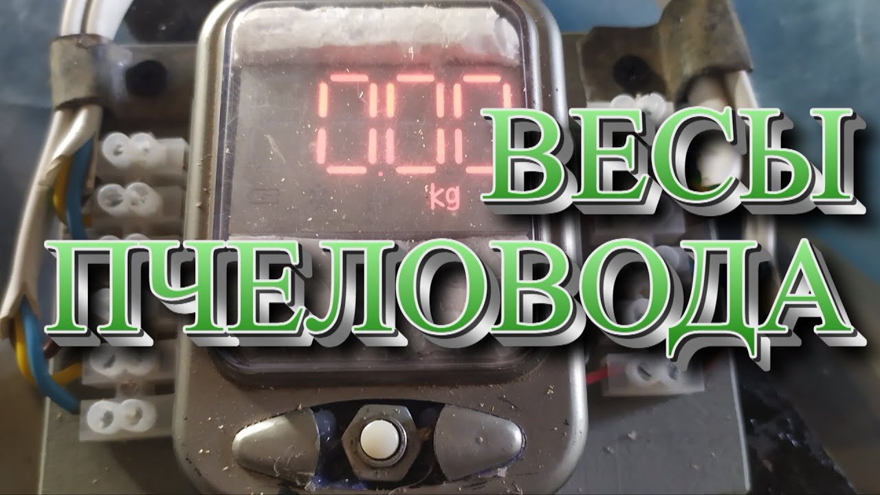 Самодельные пасечные весы