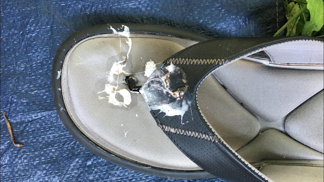 The Bird Shit Scam explained