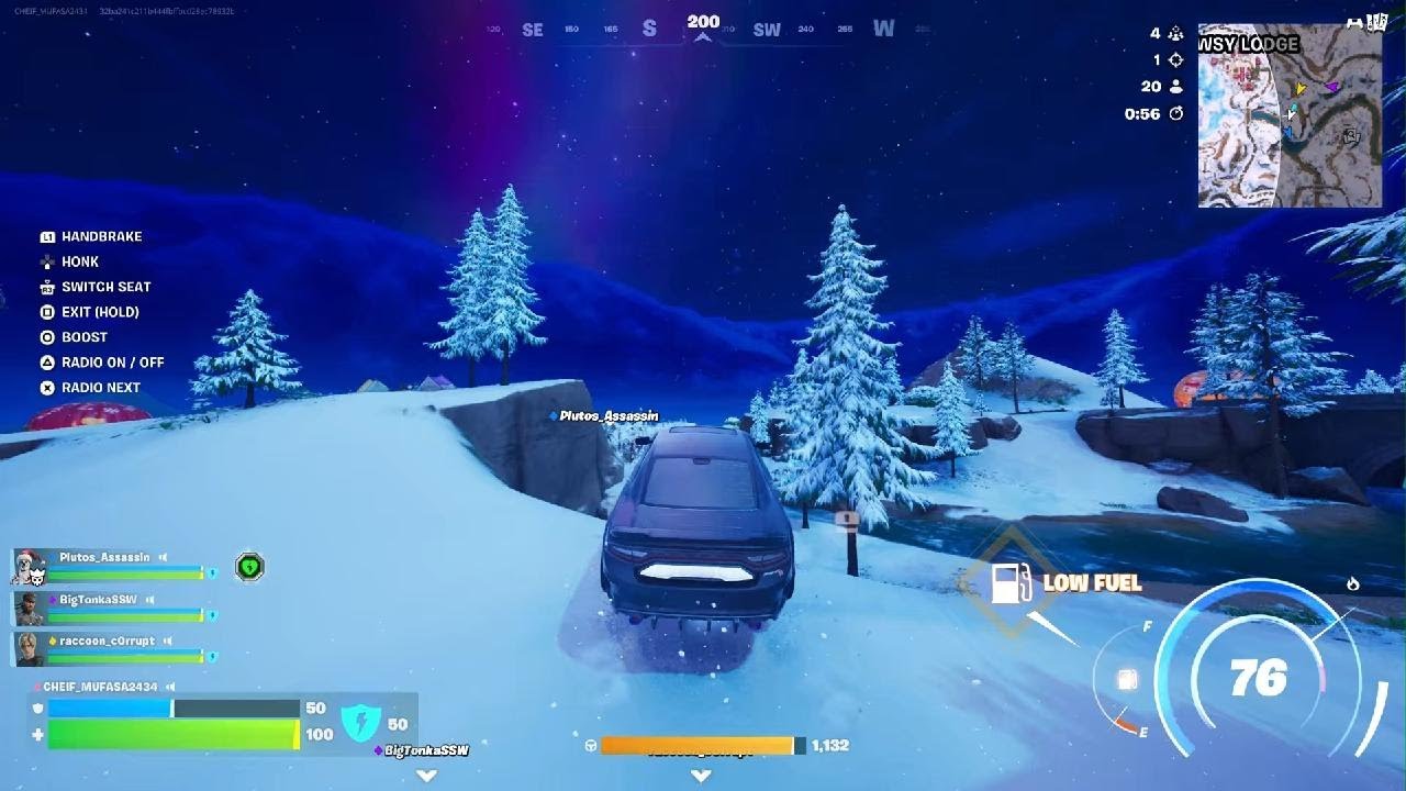 Fortnite W