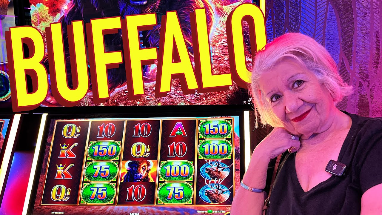 VegasLowRoller's WILD Buffalo Ultimate Stampede Adventure!!!!!