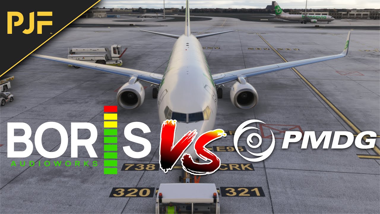 PMDG 737 | MON AVIS SUR LE PACK SON BORIS | REAL AIRLINE PILOT