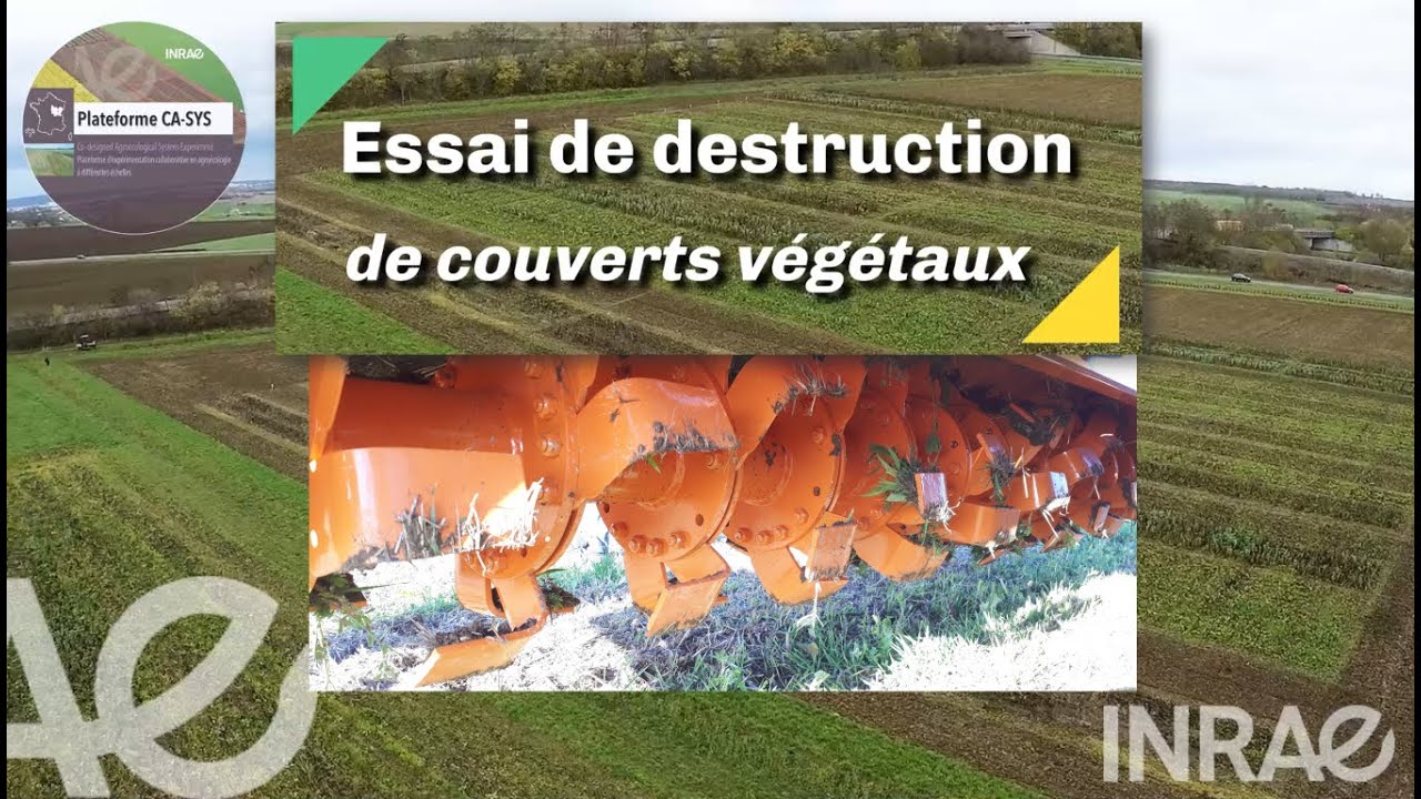 🌿Fraise FALC pour destruction de couverts🌿tillage-based cover crop termination