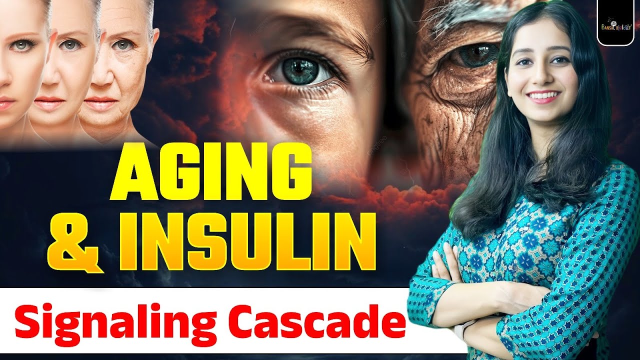 Aging, Senescence & Insulin Signalling Cascade I Bansal Biology