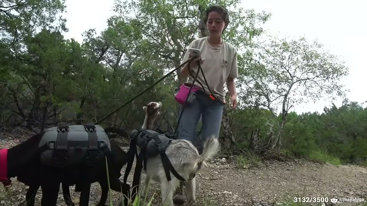 First goat hike stream - 7/12/21