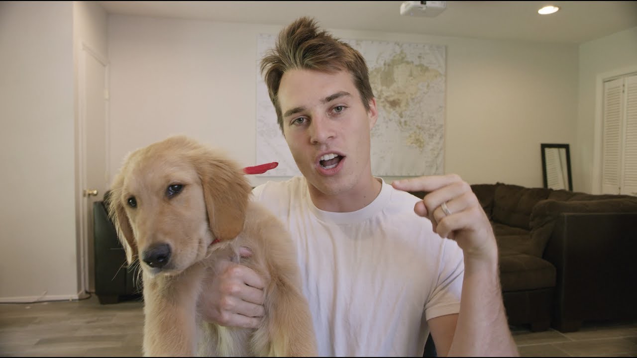 I WASN'T READY FOR A DOG.