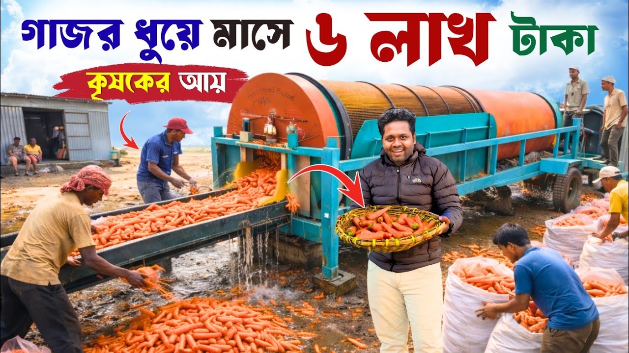 গাজর ধুয়ে মাসে আয়  ৬ লাখ 😲| Carrot Cleaning Machine | গাজর পরিষ্কার মেশিন