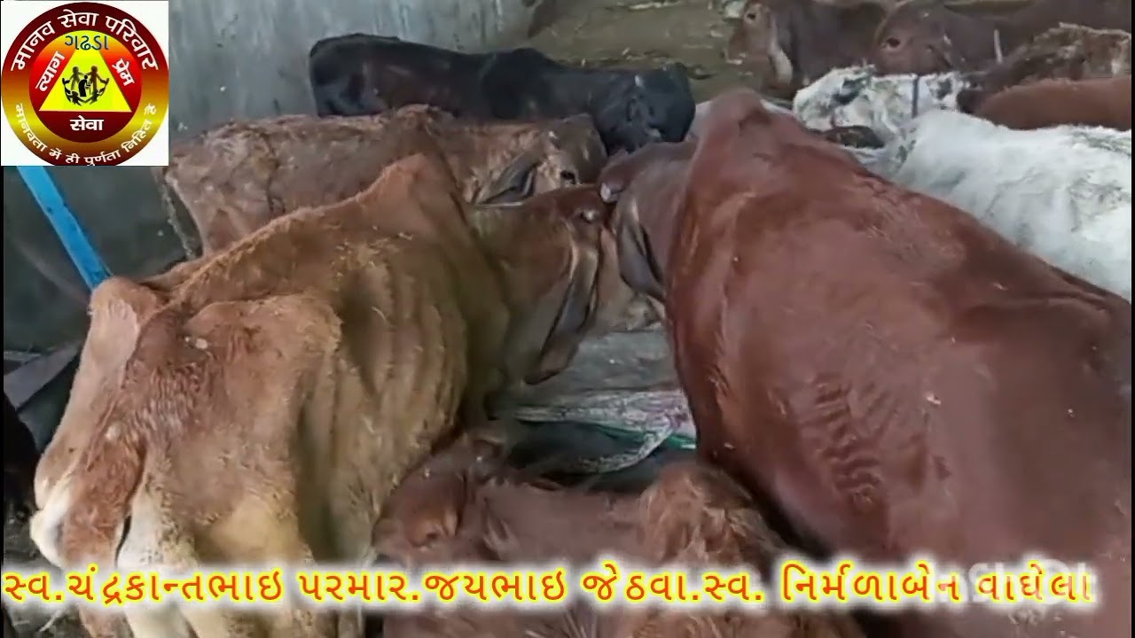 સ્વ.ચંદ્રકાન્તભાઇ પરમાર.જયભાઇ જેઠવા.સ્વ. નિર્મળાબેન વાઘેલા
