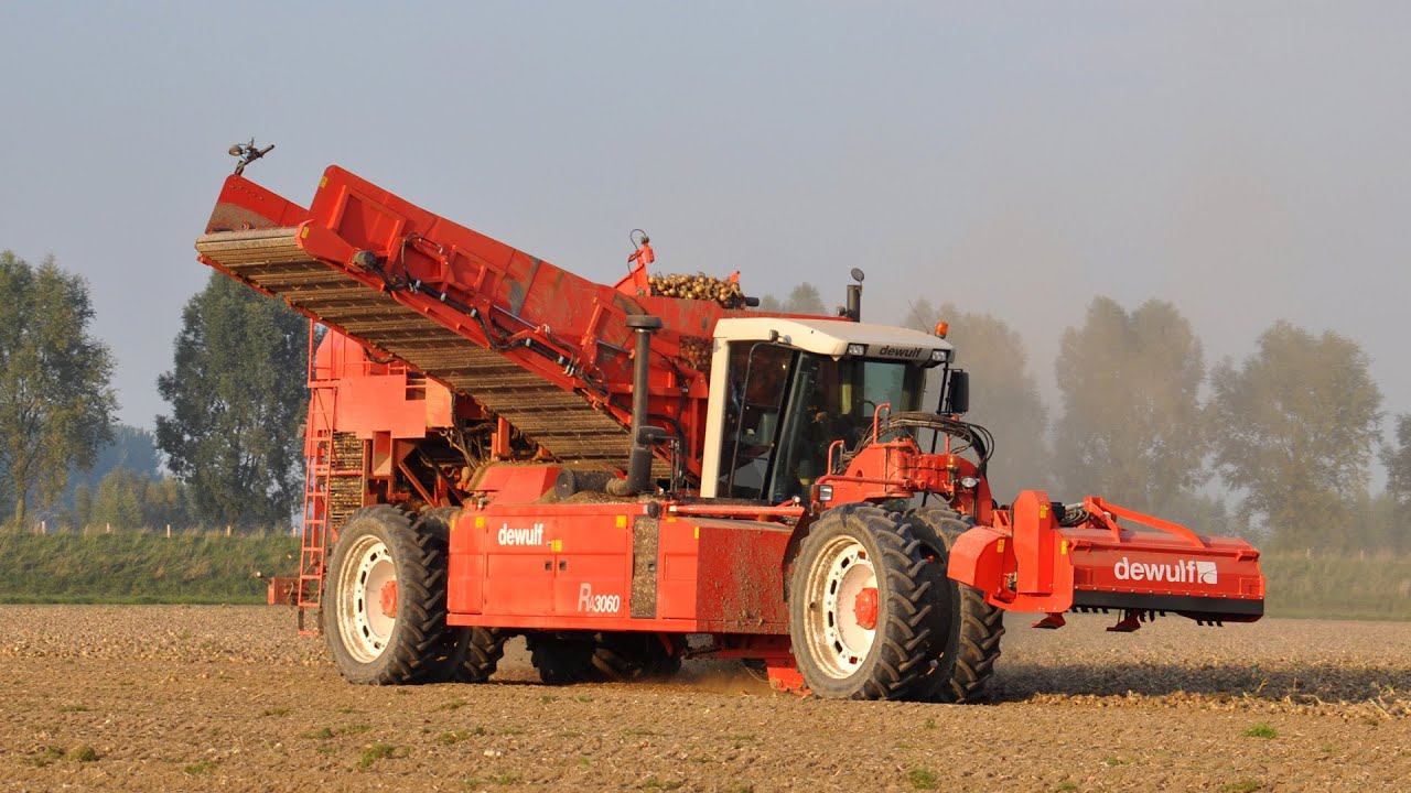 Dewulf RA 3060 - uien laden
