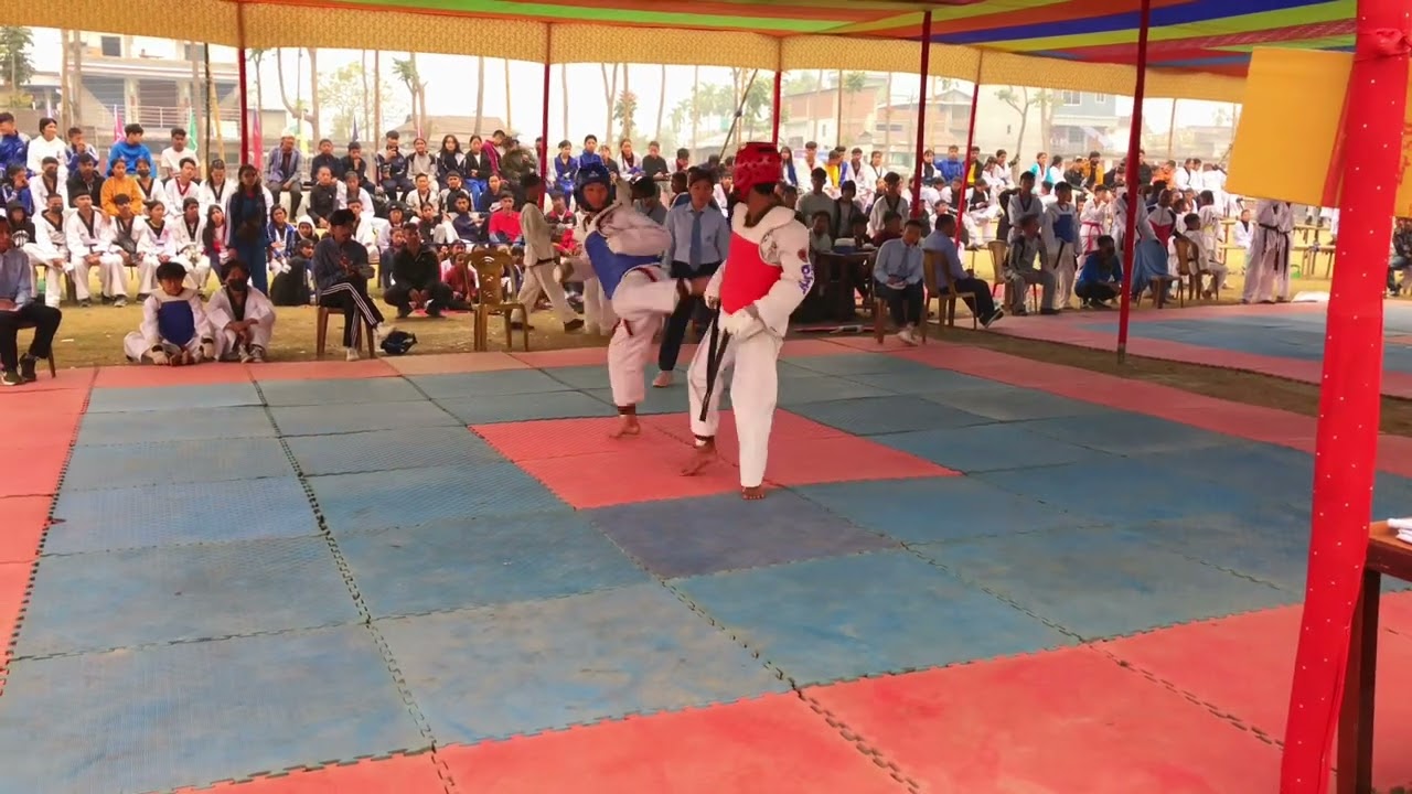 #taekwondo sparing under 50kg best fight