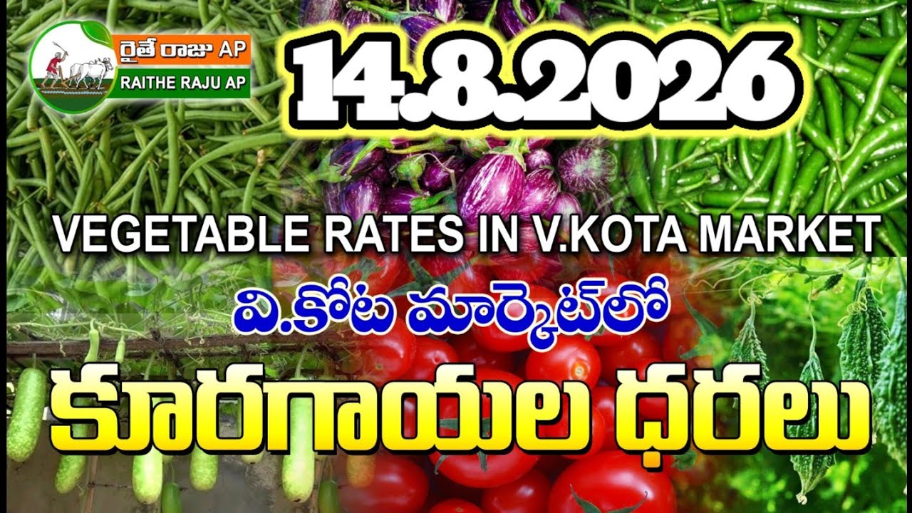 #AMC V.KOTA TODAY BEANS PRICE IN MARKET #ALL VEGETABLE PRICES #marigold 