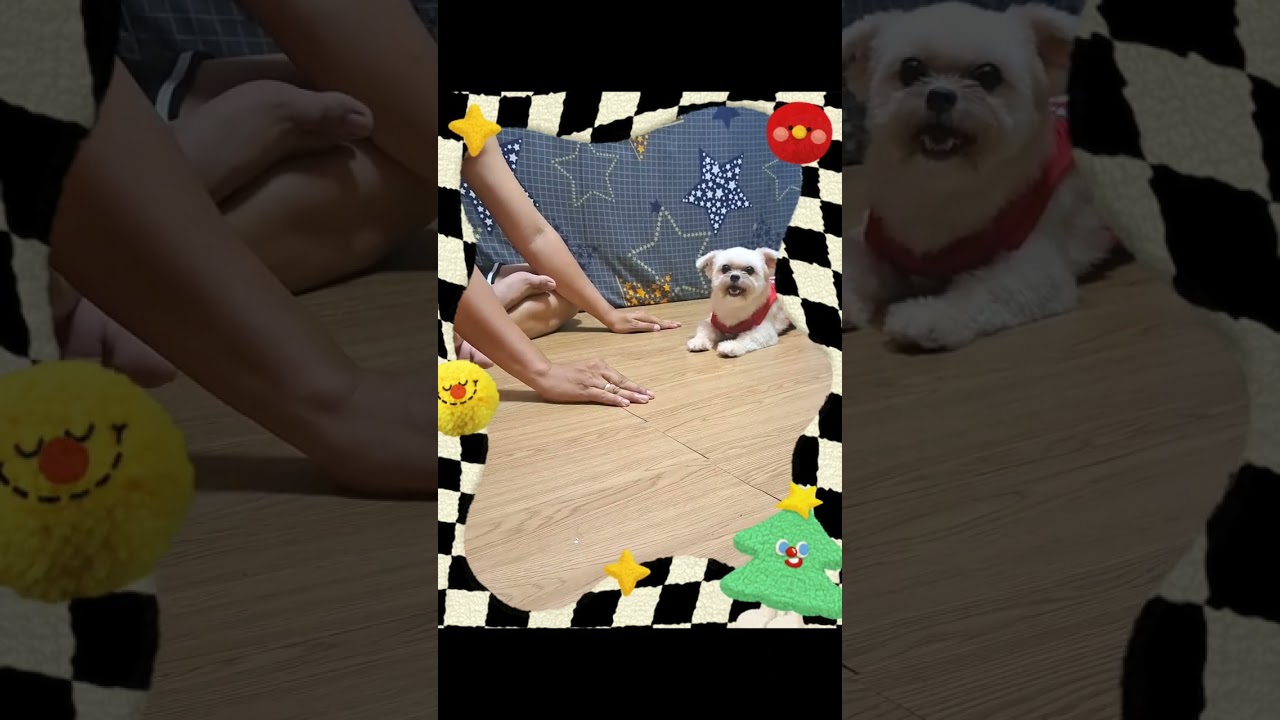 play time with Tokyo@SuperKrezzy