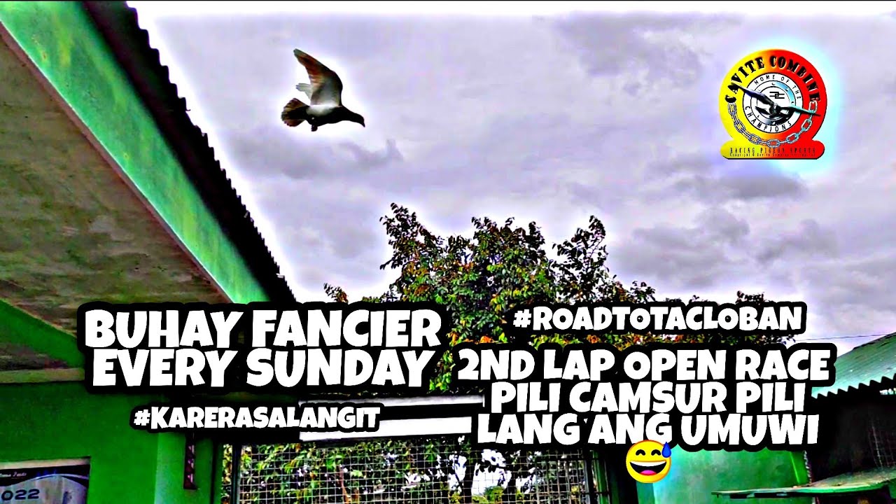 SECOND LAP KARERA SA LANGIT PILI CAMSUR UBUSAN NA AGAD NG IBON #pigeonracing #cavcom #shoutout