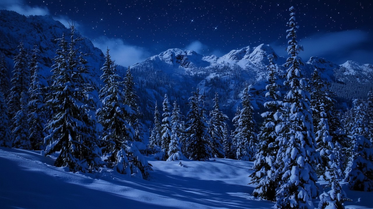 🌙 Midnight Winter Stream | Fall Asleep in 3 Minutes | Deep Sleep Music for Stress Relief ✨