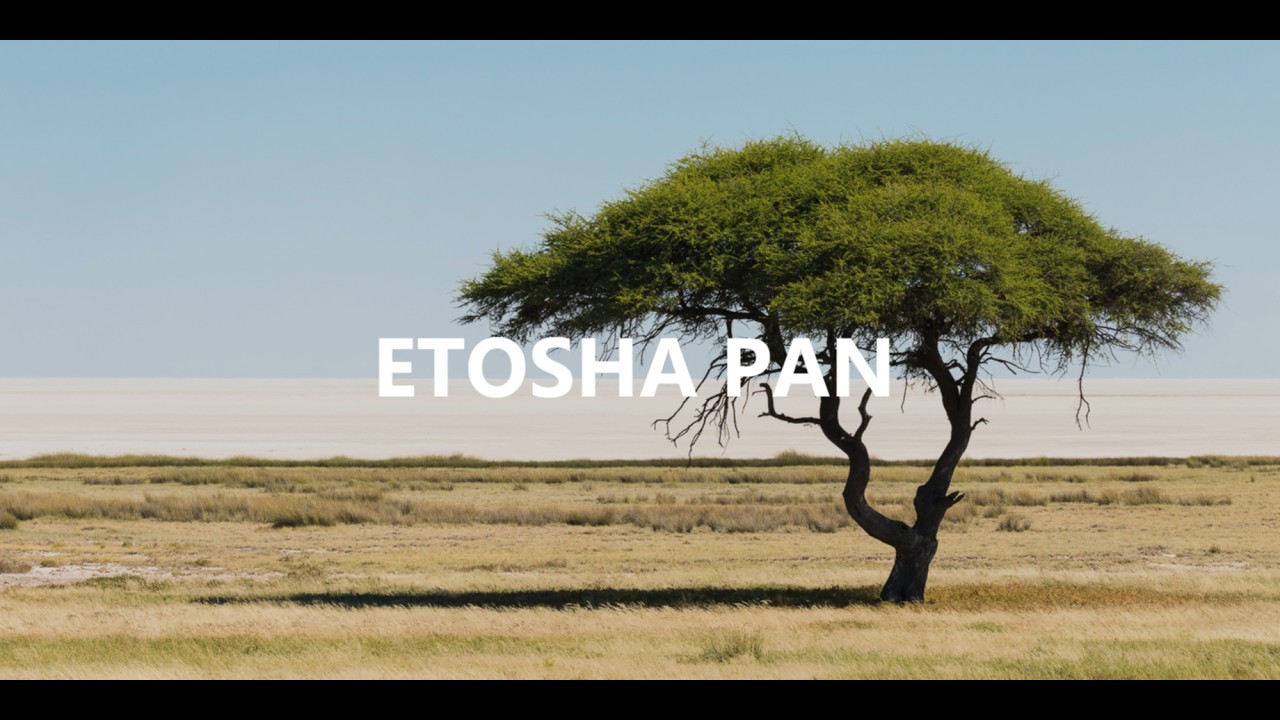 Etosha Pan - Nambia