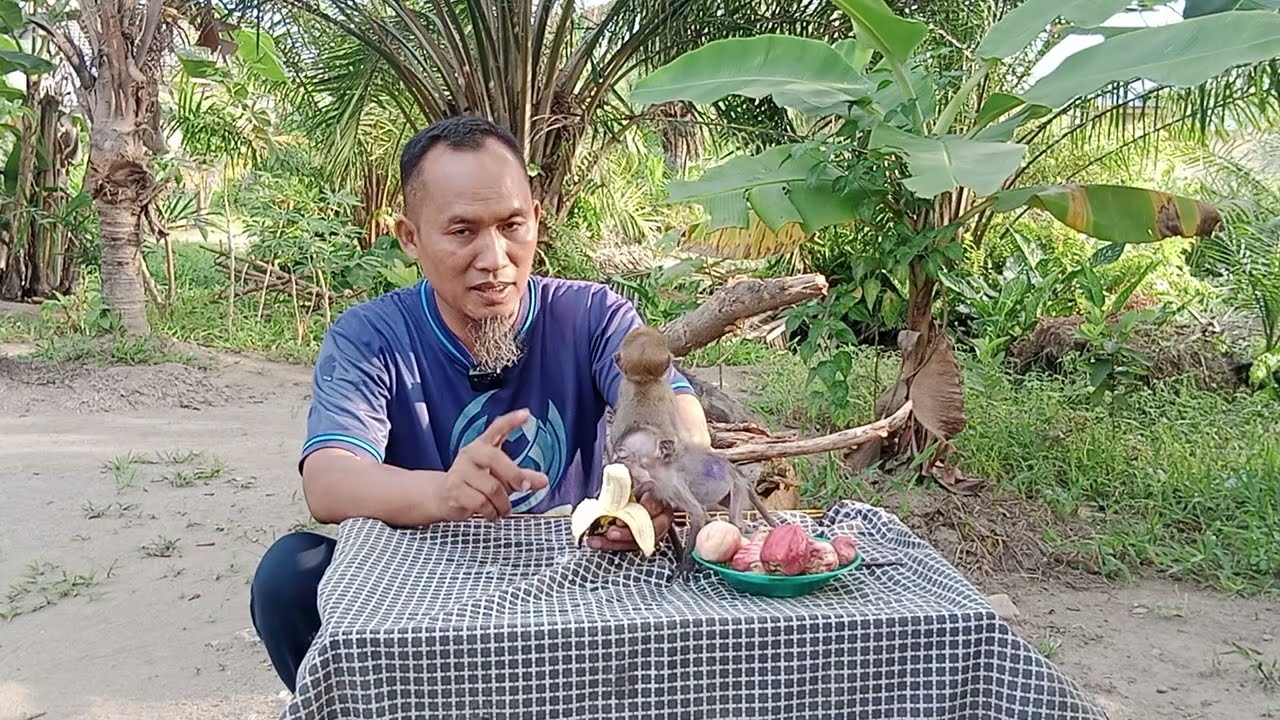 13 Maret 2026 Perawatan B dari kaki terseret - seret